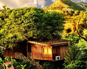 Three house resort boomhut
