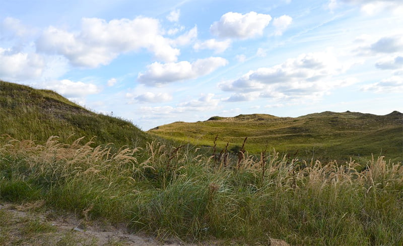 Texel lonely Planet - Duinen