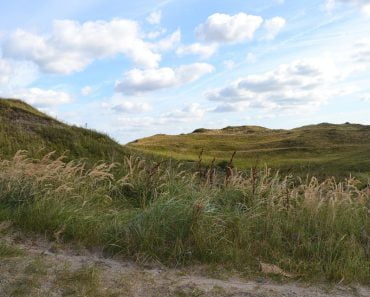Texel in lonely planet