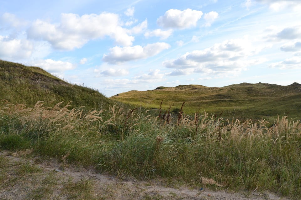 Texel in lonely planet