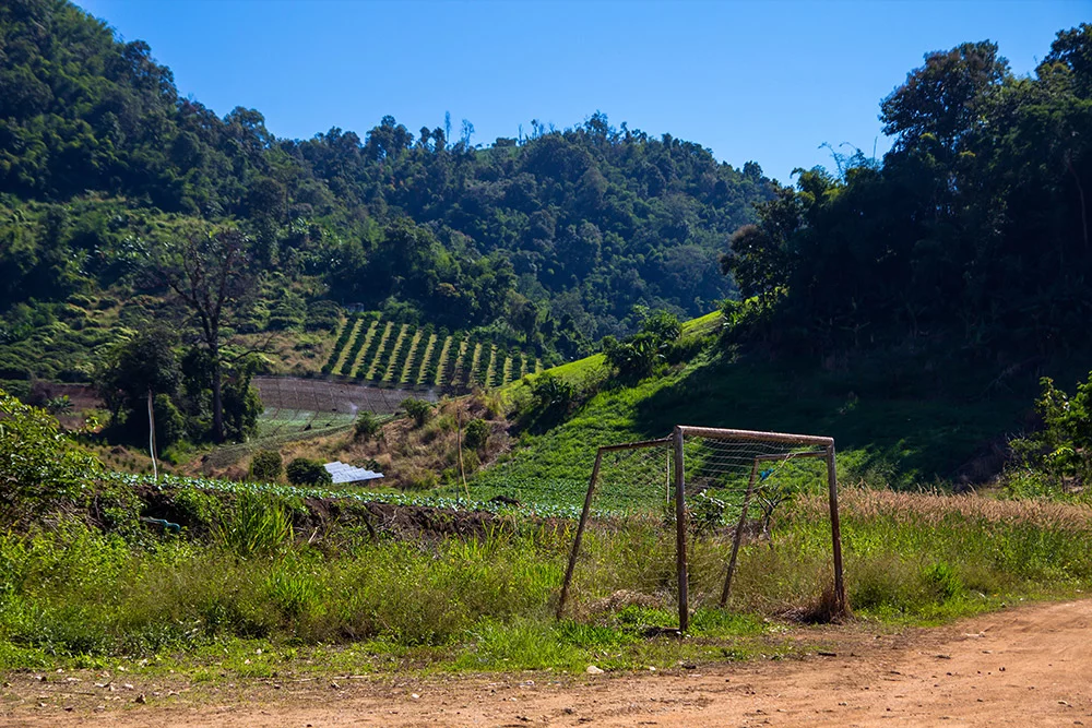 Chiang Mai jungletocht