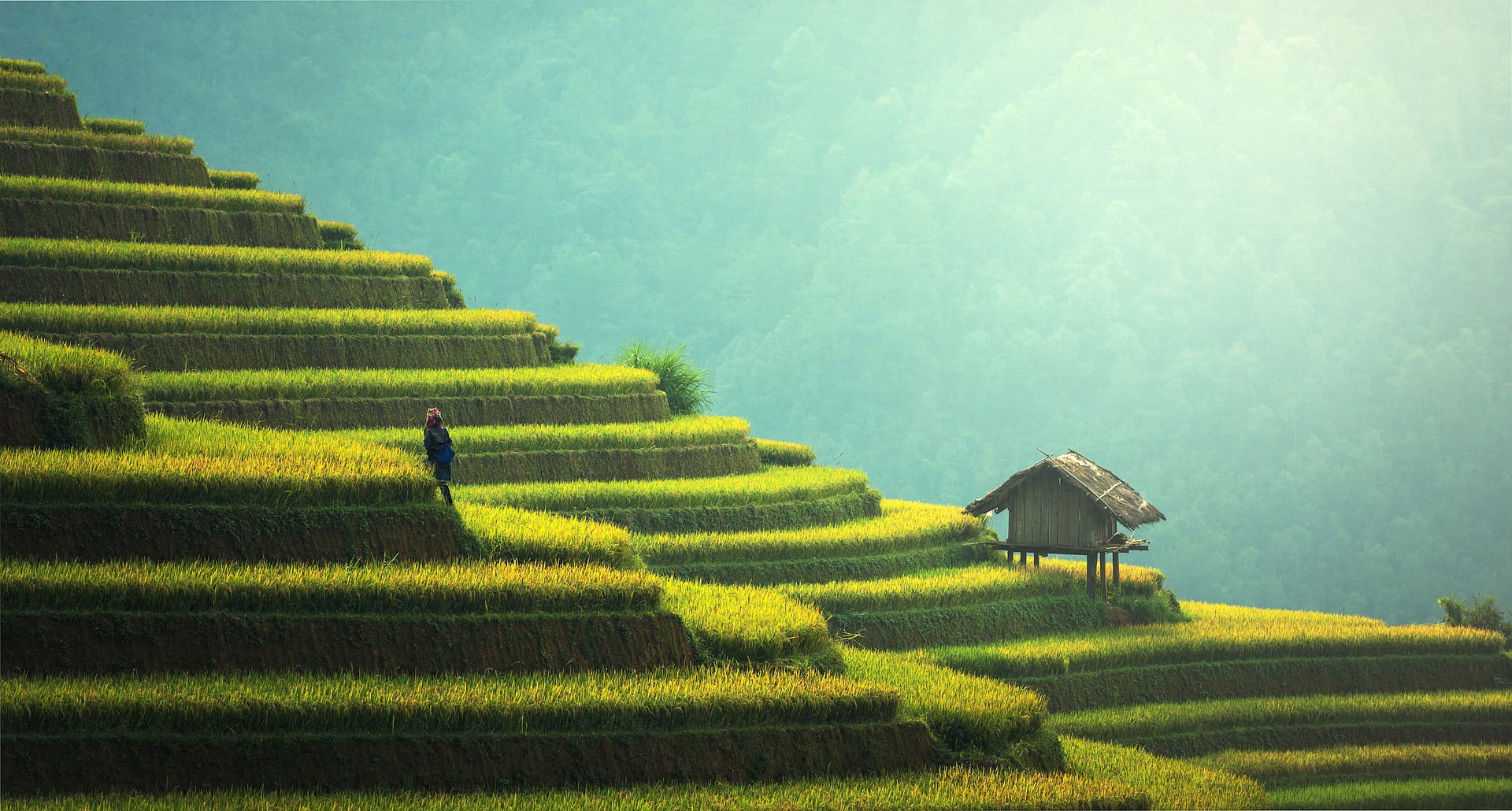 Backpacken Indonesië