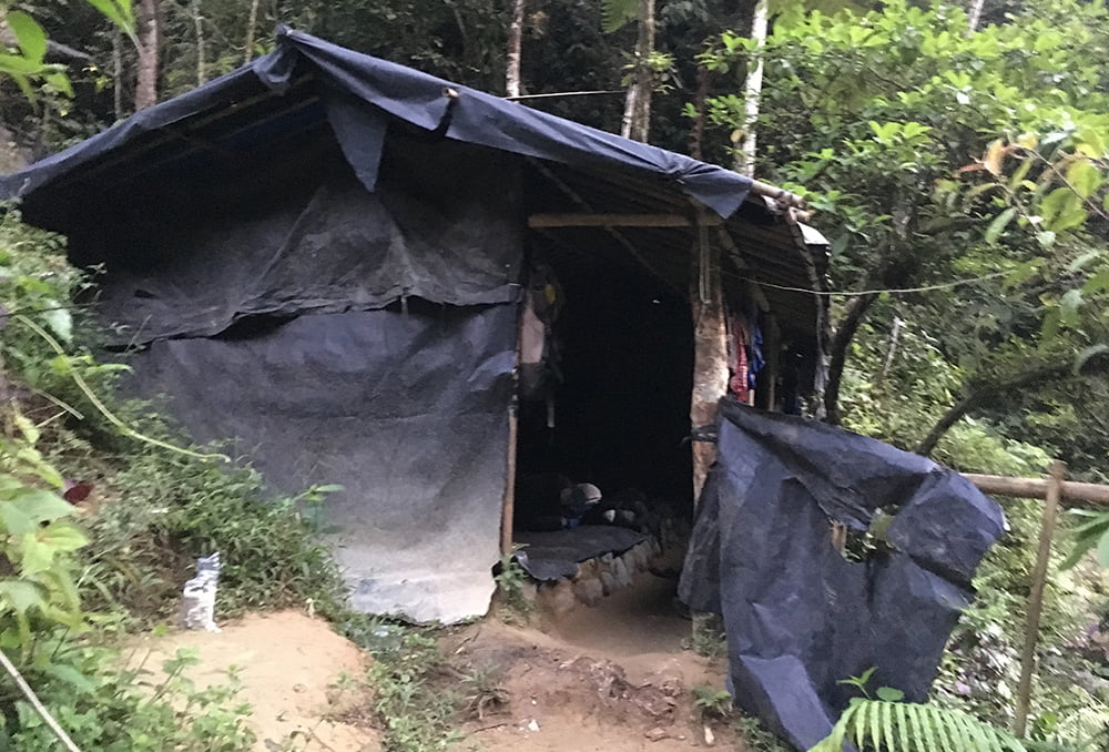 bukit lawang jungle trekking hut