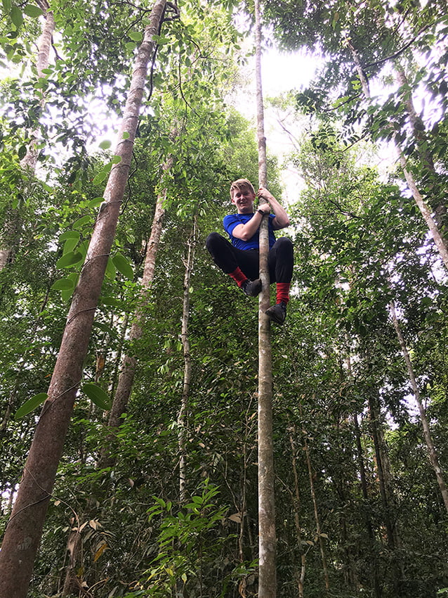 Jungle trekking Gunung Leuser National Park