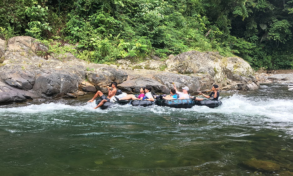 Tuben bukit lawang