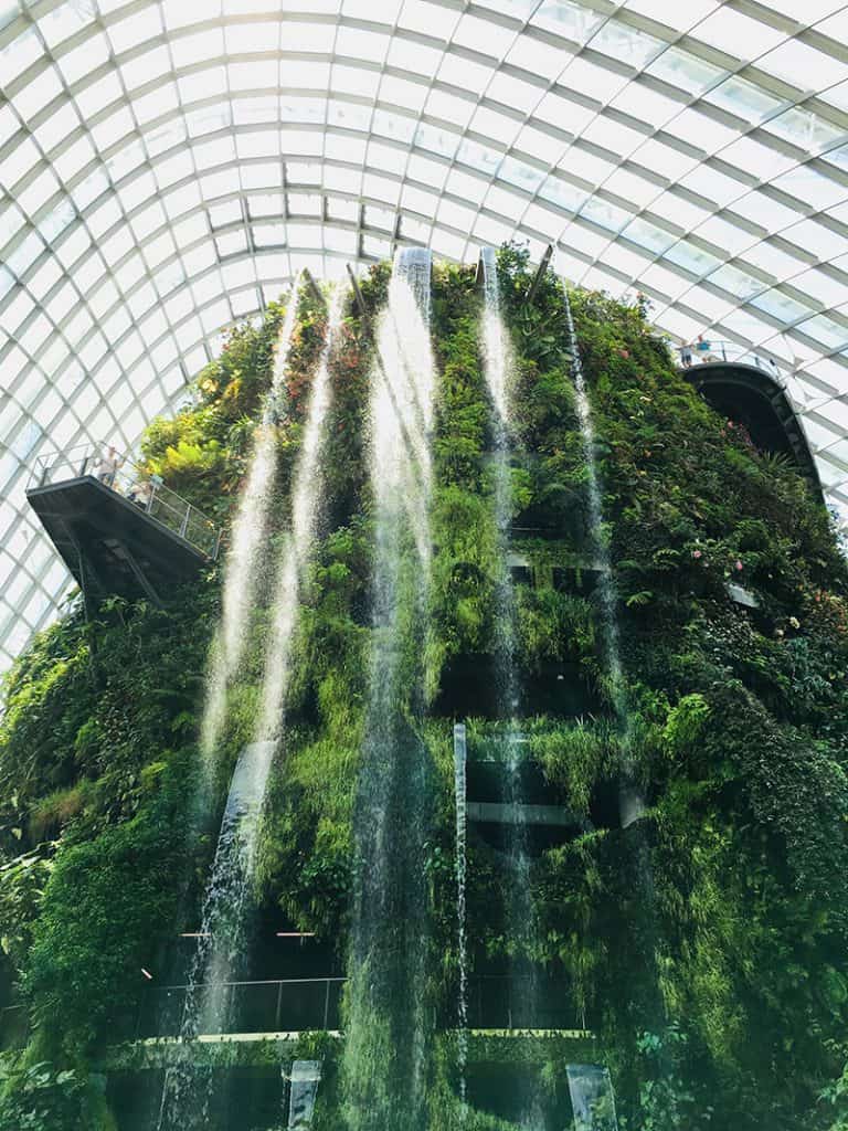  Singapore Cloud Forest