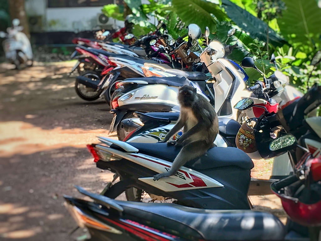 Koh lanta aap op scooter